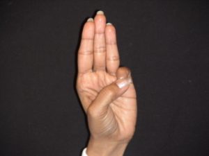 buddi mudra