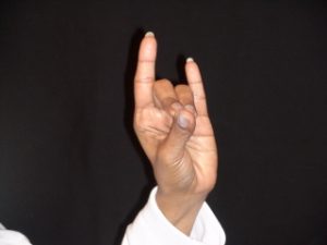apan mudra
