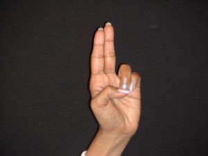 PRAN MUDRA