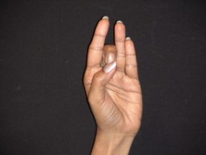shuni mudra